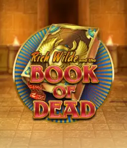 Enter the thrilling world of Book of Dead Slot by Play'n GO, featuring vivid graphics of Rich Wilde’s adventurous journey through ancient Egyptian tombs and artifacts. Discover lost riches with engaging mechanics like free spins, expanding icons, and a gamble option. Ideal for those seeking adventure with a desire for thrilling discoveries.